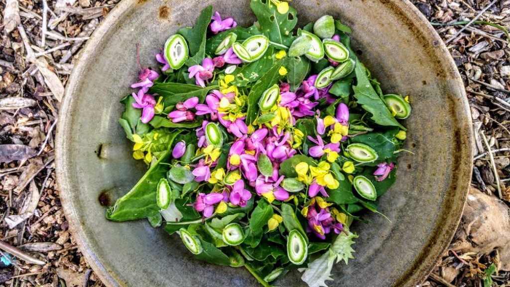 סלט ליקוטים פרחי חרדל וכליל החורש, שקדים ירוקים