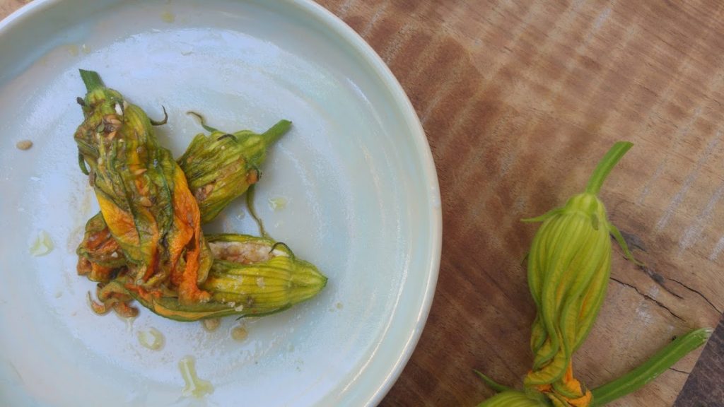 פרחי קישואים ממולאים בגבינת ריקוטה טבעונית צנוברים ויין לבן