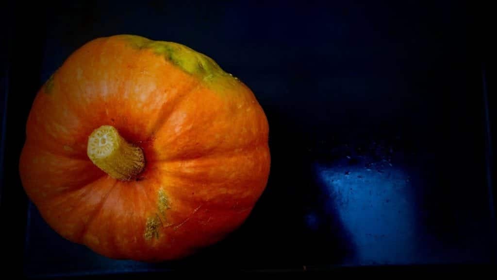 קארי דלעת דרום הודי