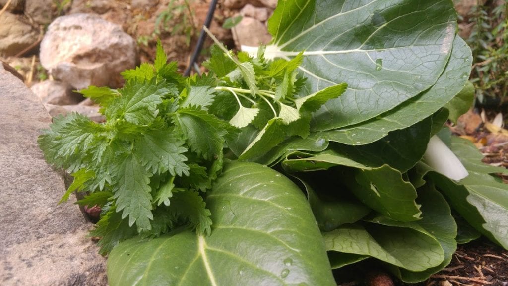 מרק חרירה טבעוני