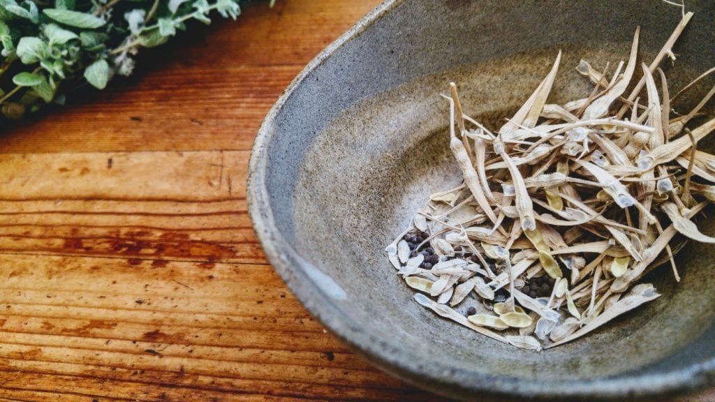 דלעת יפנית ודאל הודי שחור