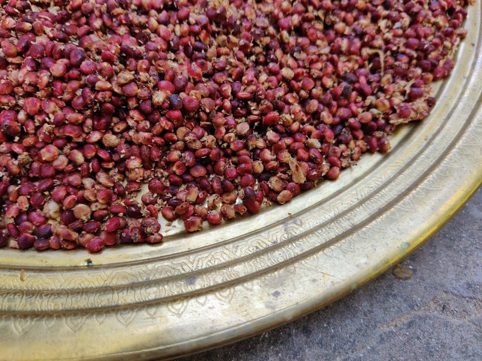 סלט שומר צלוי וסומאק