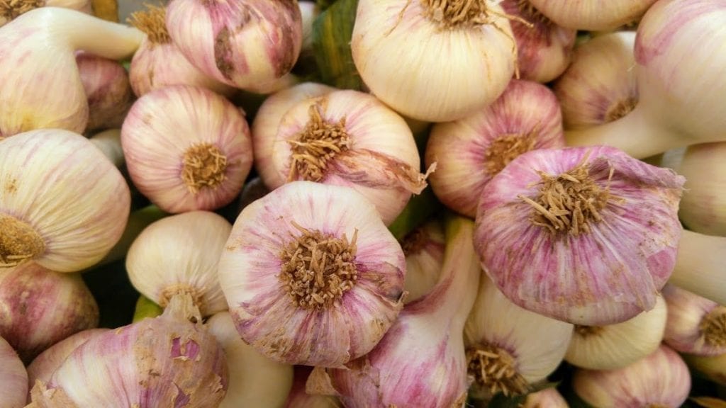 רביולי לוף חמציץ ברוטב פול ירוק