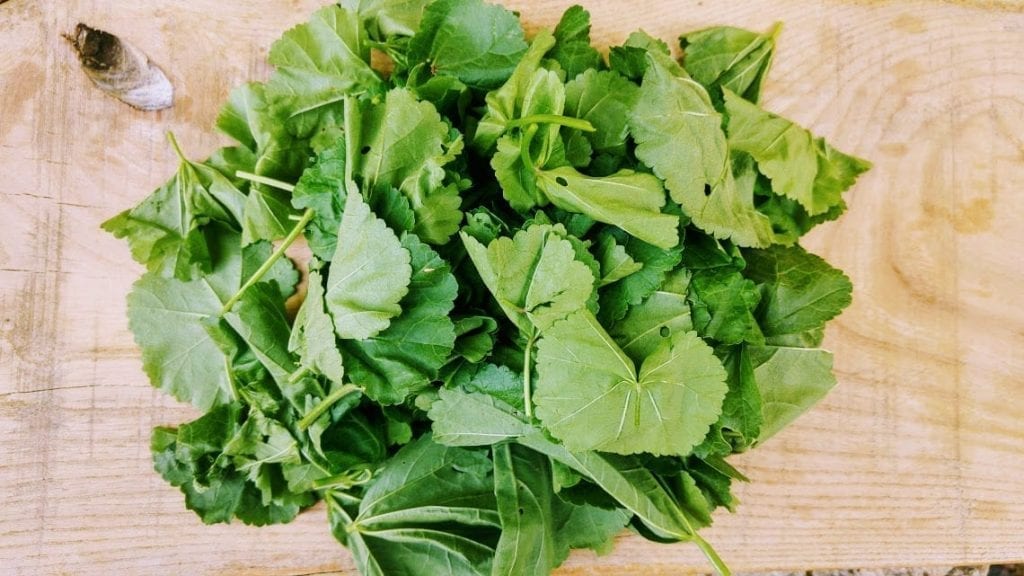 קציצות חוביזה וסרפד