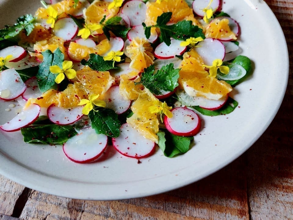 סלט מצליבים