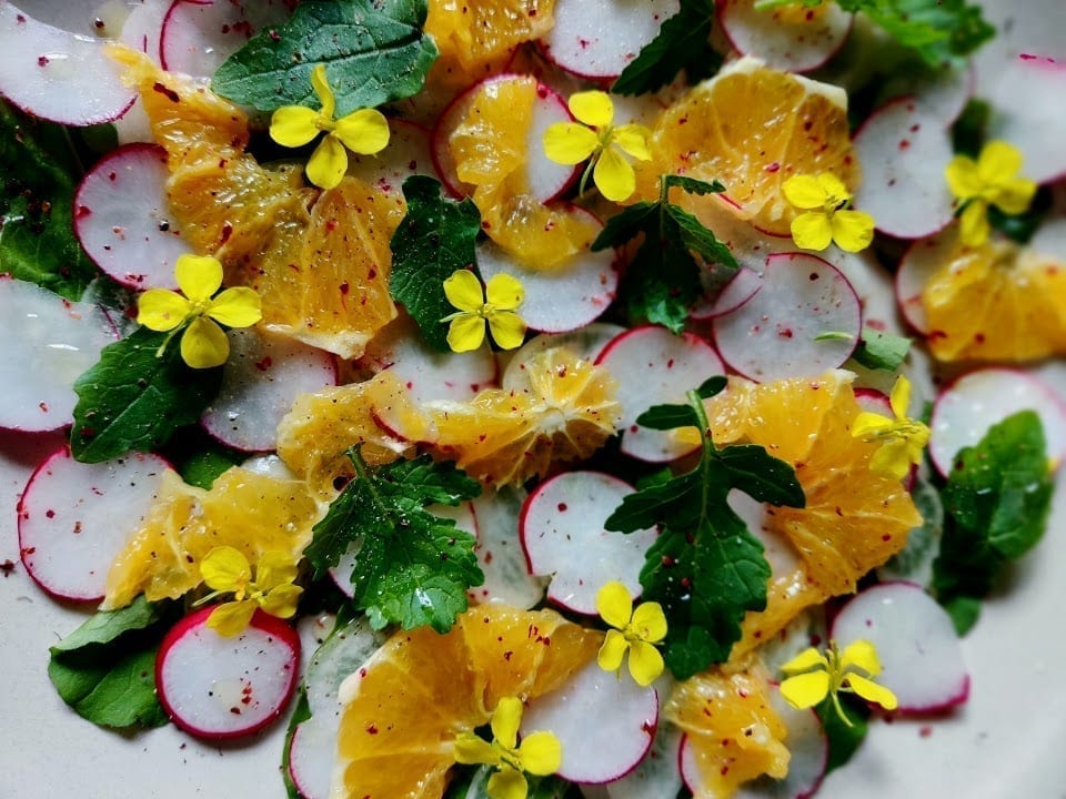 סלט מצליבים