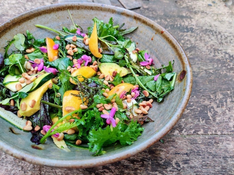 סלט ירוקים שסק אבוקדו וזכרונות