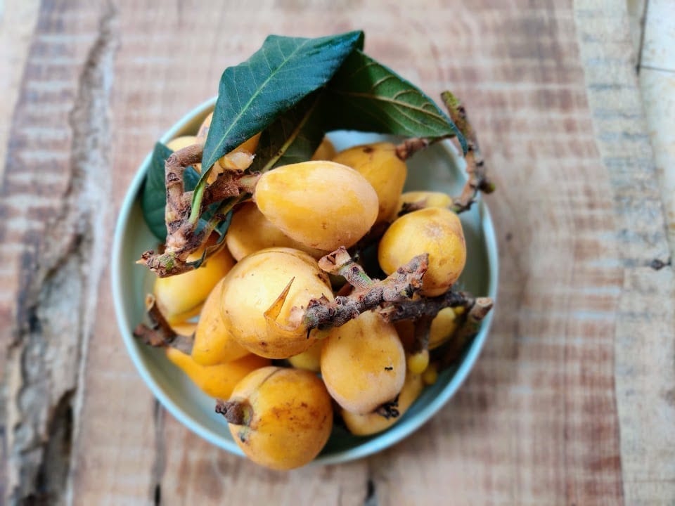 סלט ירוקים שסק אבוקדו וזכרונות