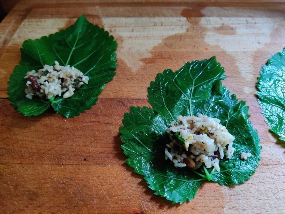 עלי תות עץ ממולאים