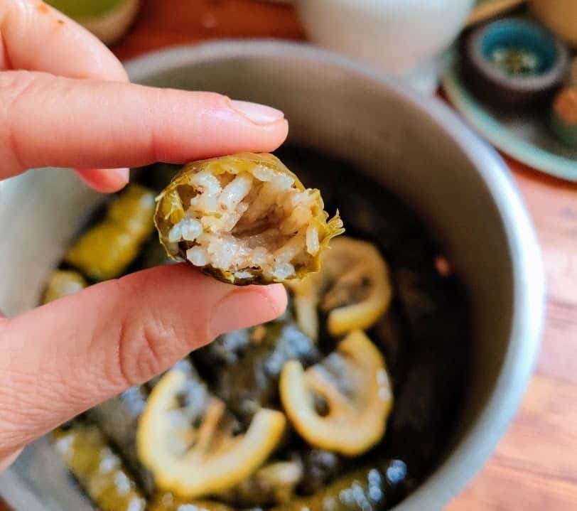 עלי תות עץ ממולאים