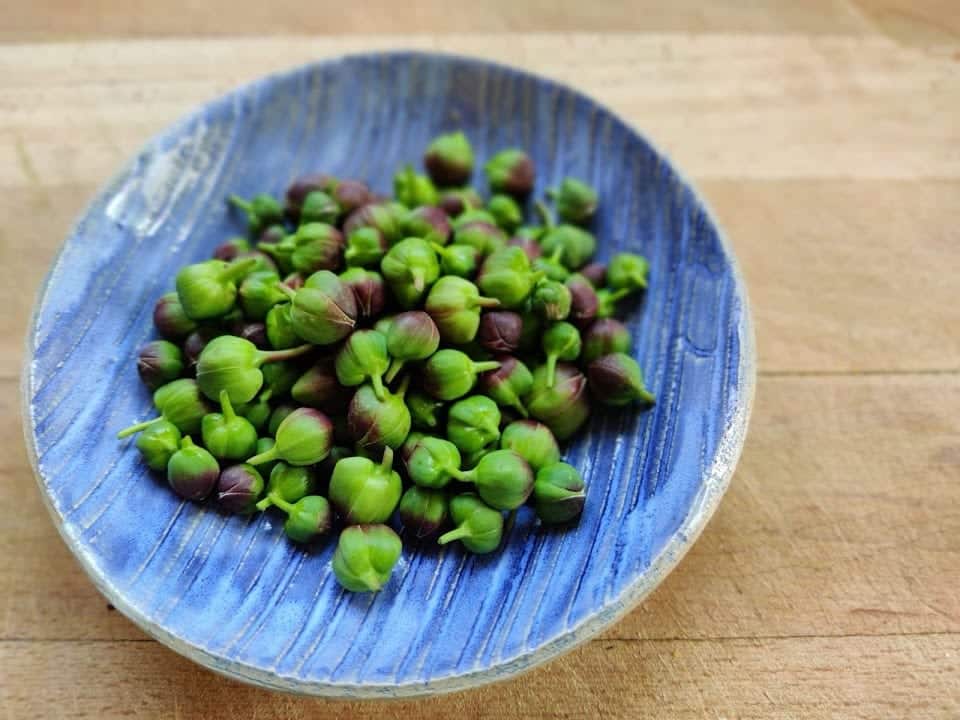צלף פסטה ברוטב שמן זית מרווה צלפים