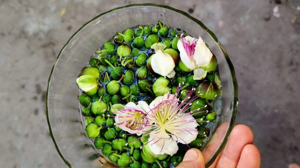 צלף פסטה ברוטב שמן זית מרווה צלפים