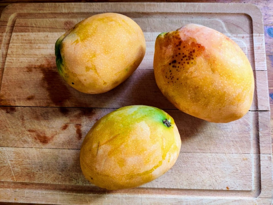 סלט מנגו ועגבניות קיצי