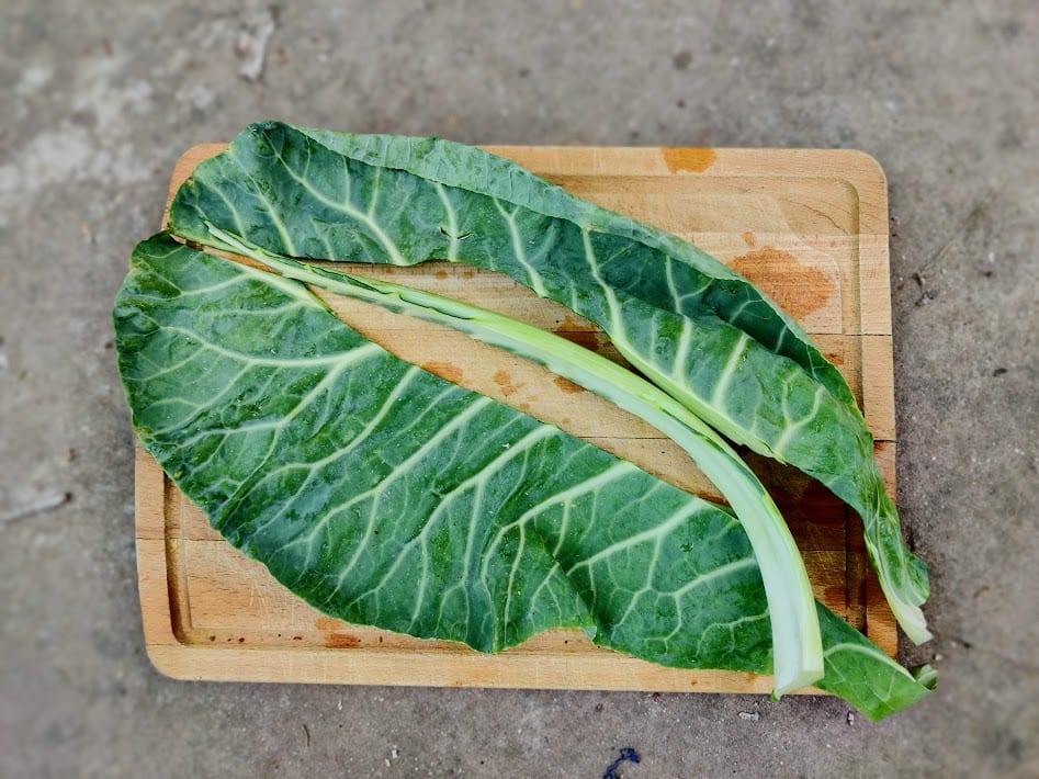 עלי כרובית ממולאים