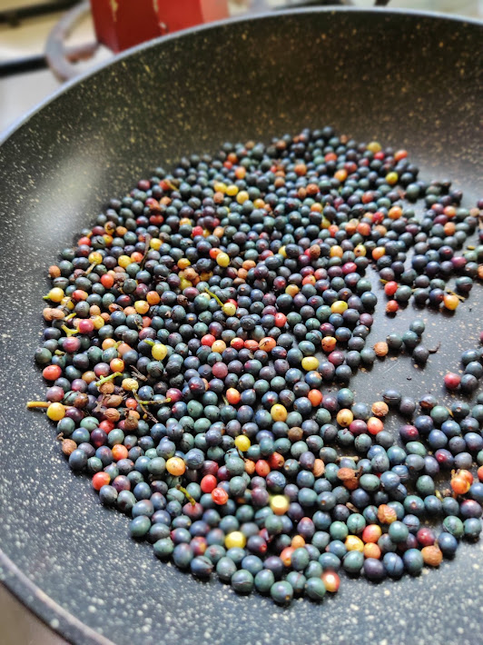 סלט סתיו זוקיני גויאבה פירות אלה