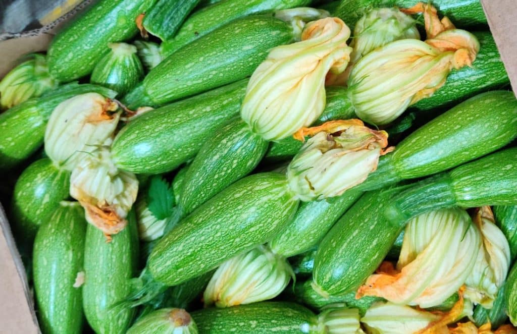 קוסא מחשי קישוא ממולא פריקה